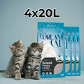 Dream Cat 10L Carbon – 2 Cat Home Plan
