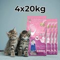 Van Cat 20kg  Baby Powder – 2 Cat Home Plan