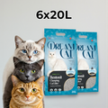 Dream Cat 20L Carbon - 3+ Cat Home Plan